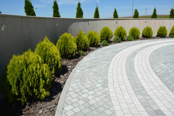 Best Residential Paver Driveway  in Lawson, MO